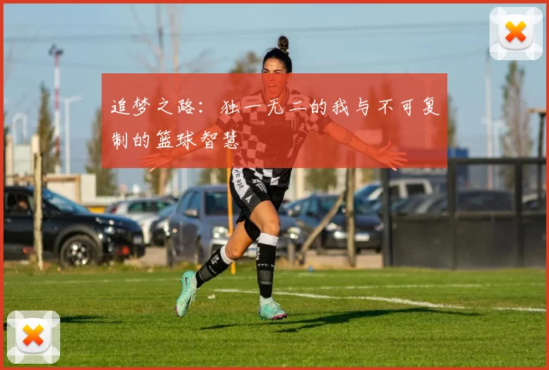 追梦之路：独一无二的我与不可复制的篮球智慧